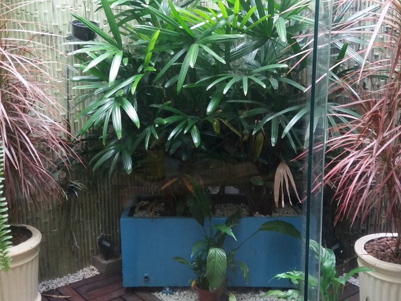 imóvel com 300m² - Vila Marlene - Jundiaí