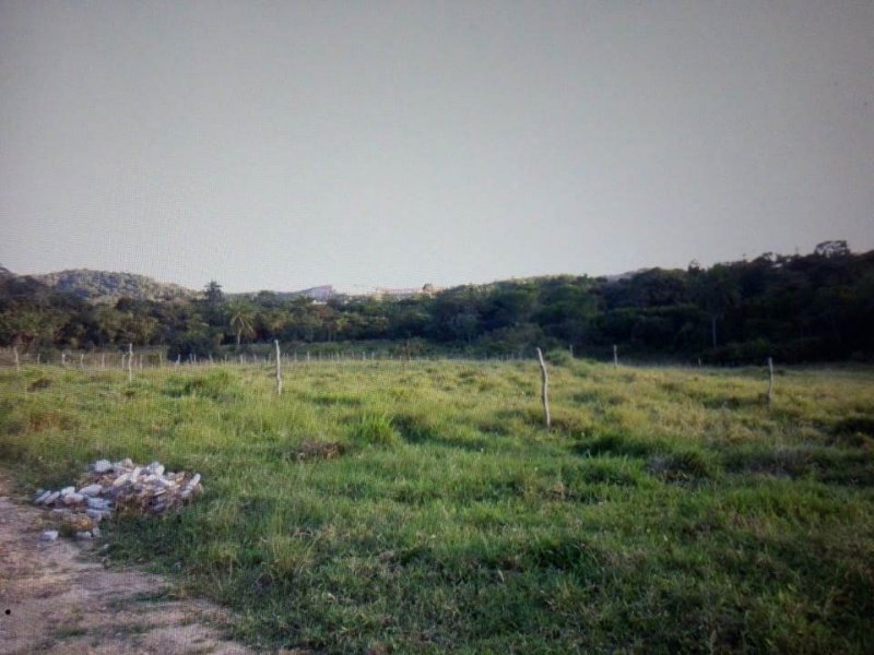 imóvel com 500m² - Br 324 - Feira de Santana