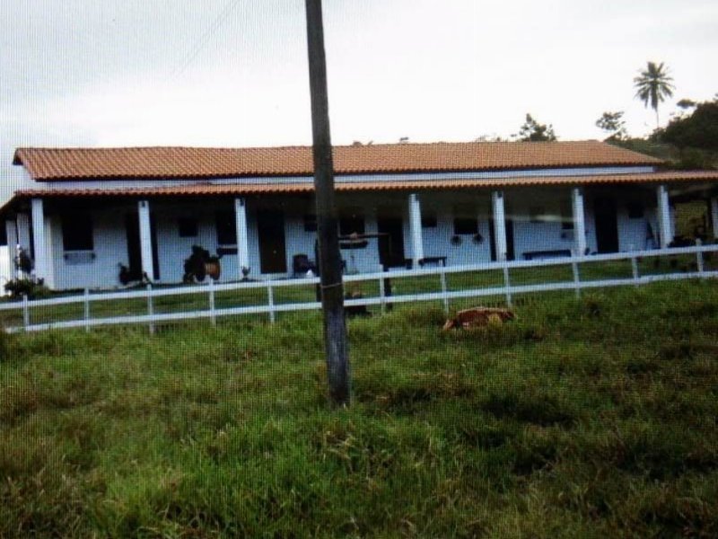 imóvel com 500m² - Br 324 - Feira de Santana