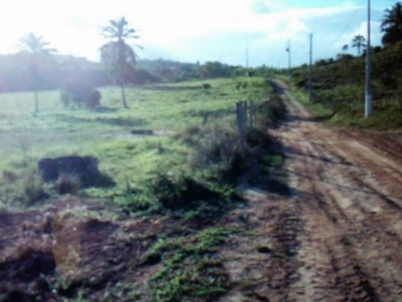 imóvel com 500m² - Br 324 - Feira de Santana