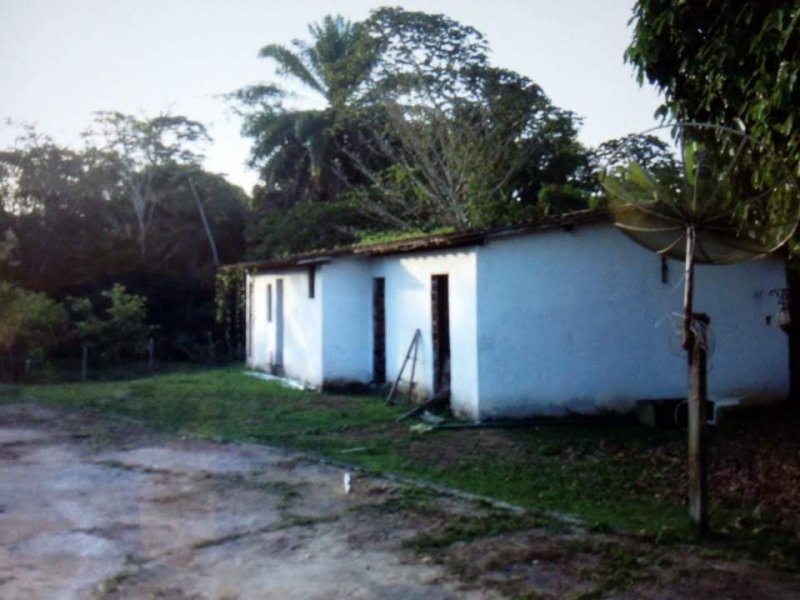 imóvel com 500m² - Br 324 - Feira de Santana