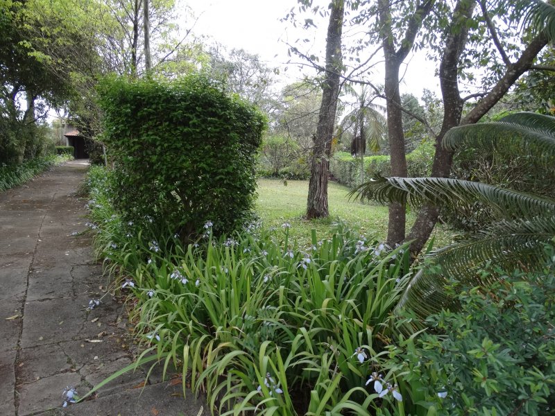 Terreno à venda Chácara das Paineiras com 1285m² e  quartos por R$ 890.000 - 397433451-terreno-5.JPG