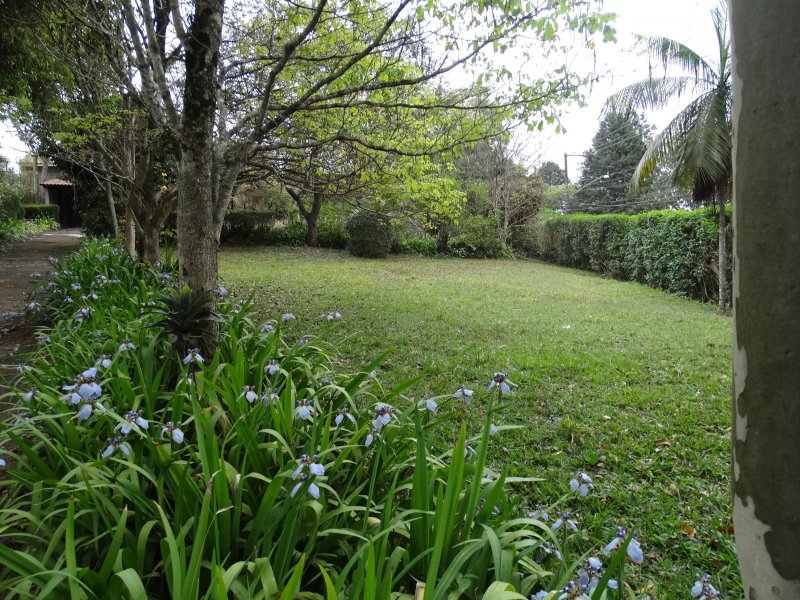 Terreno à venda Chácara das Paineiras com 1285m² e  quartos por R$ 890.000 - 649986436-terreno-6.JPG