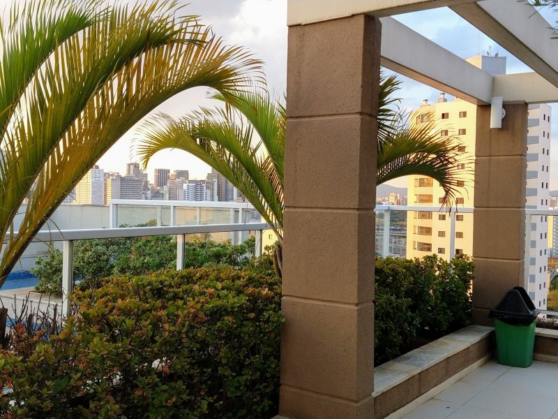 imóvel com 38m² - Cambuci - São Paulo