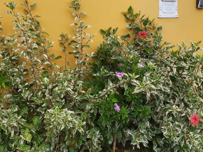 imóvel com 320m² - Jardim das Estrelas - Sorocaba