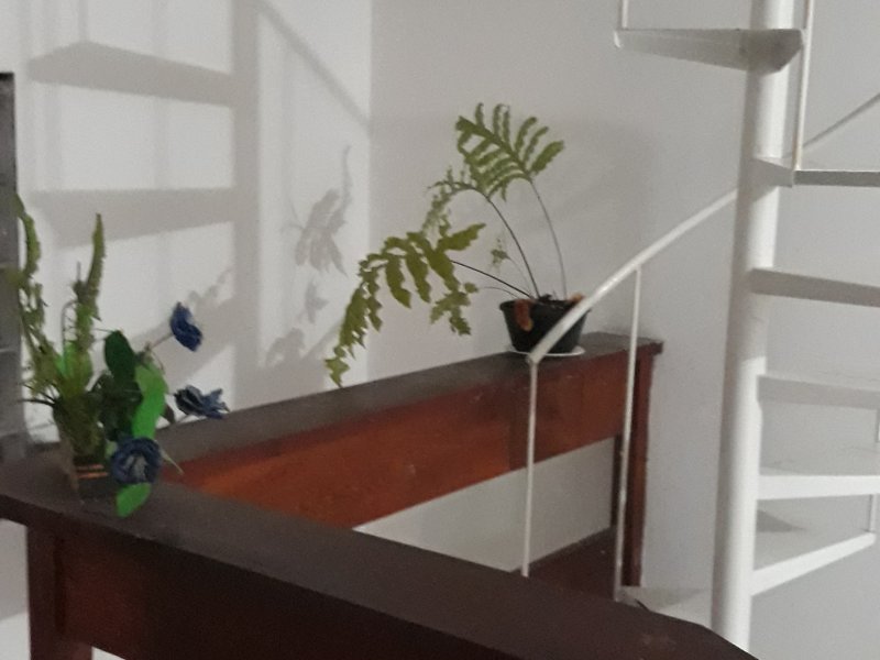 imóvel com 360m² - Caminho Novo - Palhoça