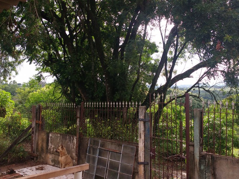 Apartamento à venda Bairro dos Mirandas com 670m² e 2 quartos por R$ 110.000 - 2126357534-img-20181224-085426482.jpg