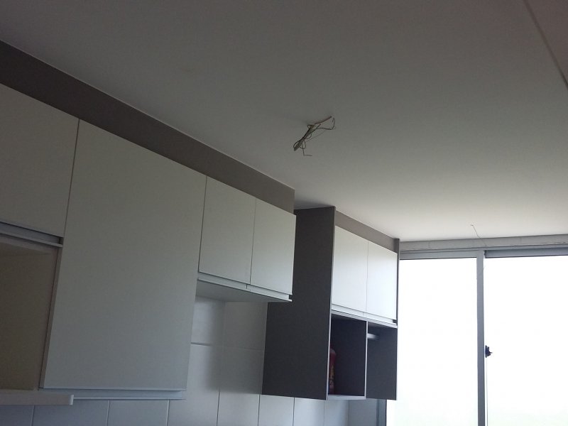 imóvel com 50m² - Guaturinho - Santana de Parnaiba