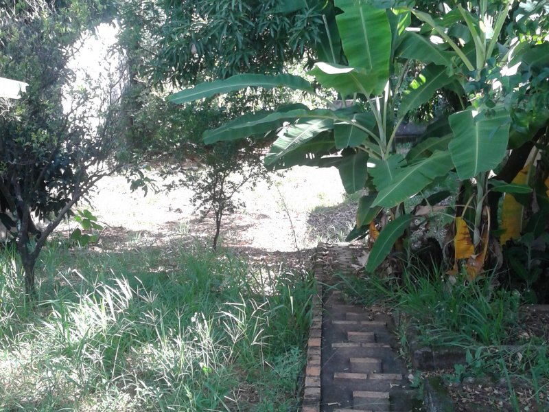 Chácara à venda Parque Jardim Encatado com 1000m² e 4 quartos por R$ 550.000 - 1480646540-20190127-172447.jpg