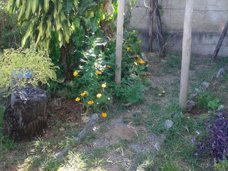 Chácara à venda Parque Jardim Encatado com 1000m² e 4 quartos por R$ 550.000 - 395097197-20190127-172218.jpg