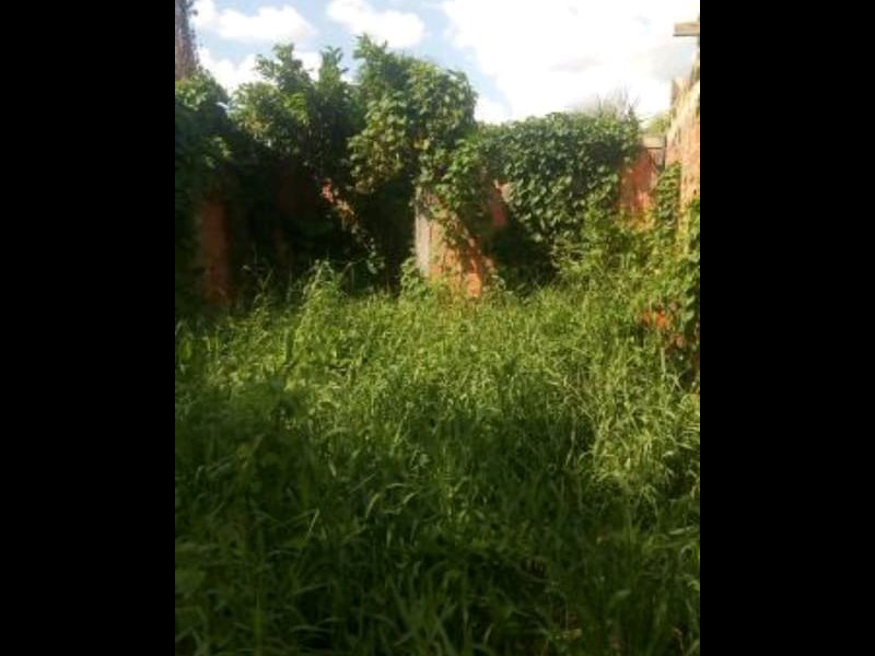 Terreno à venda Colônia Terra Nova com 90m² e  quartos por R$ 15.500 - 2114763039-c6c803a0-68c5-49b2-827b-1b276ea4256b-1.jpg
