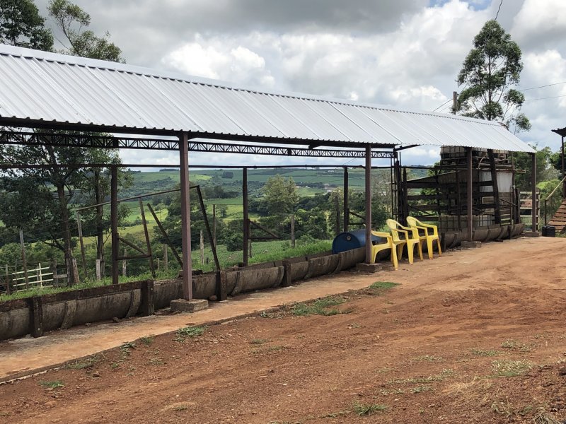 imóvel com 133000m² - zona rural - Jandaia do Sul