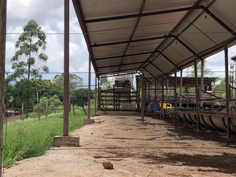 imóvel com 133000m² - zona rural - Jandaia do Sul