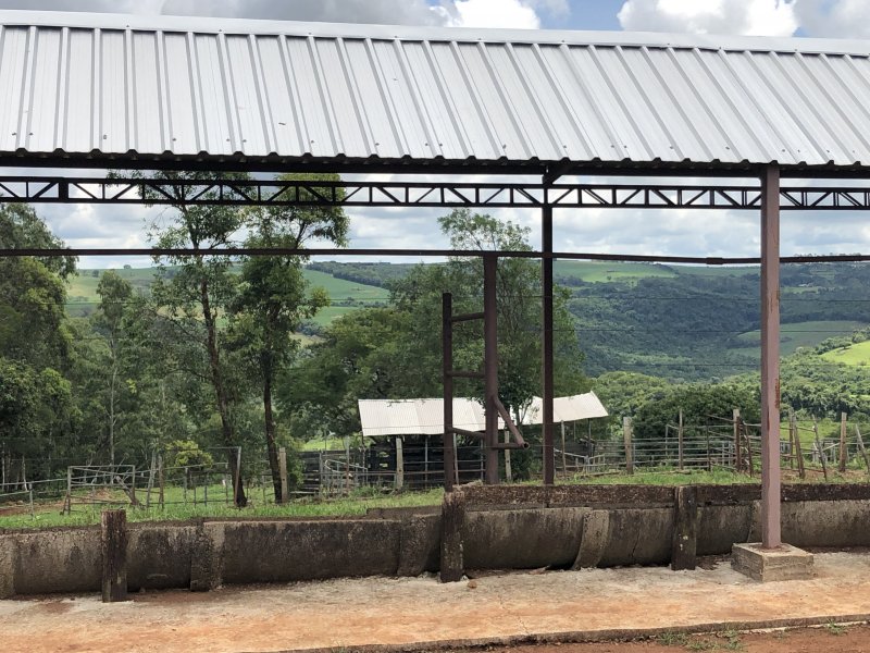 imóvel com 133000m² - zona rural - Jandaia do Sul