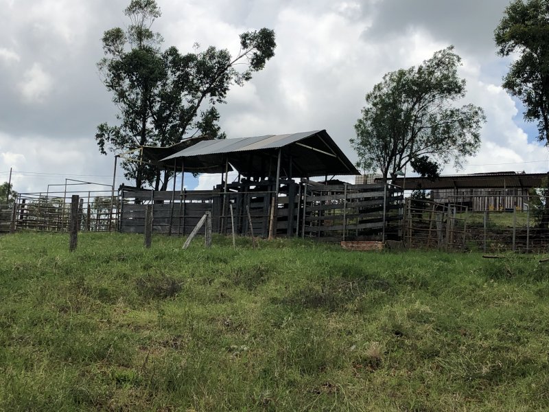 imóvel com 133000m² - zona rural - Jandaia do Sul