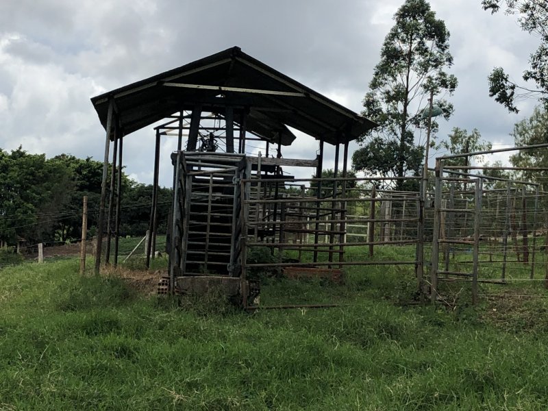 imóvel com 133000m² - zona rural - Jandaia do Sul