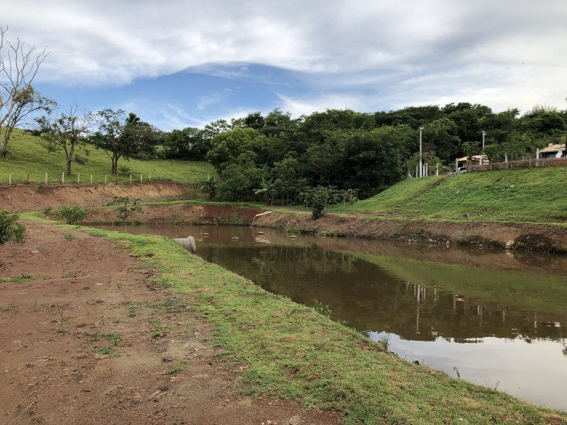 imóvel com 133000m² - zona rural - Jandaia do Sul