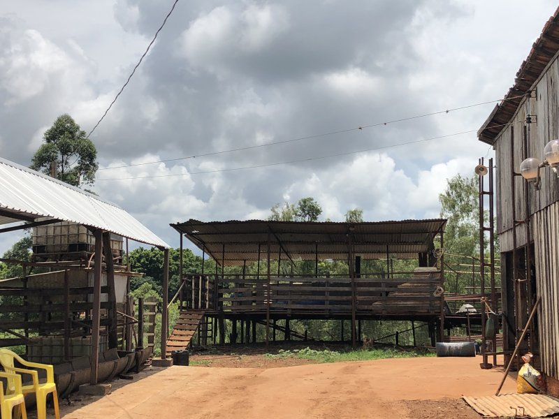 imóvel com 133000m² - zona rural - Jandaia do Sul