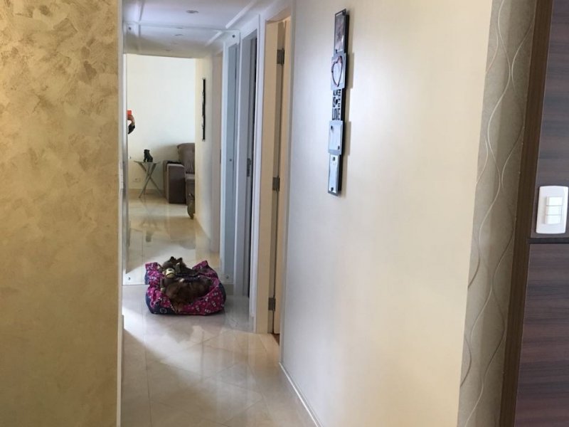 Apartamento à venda Jardim Oriental com 75m² e 3 quartos por R$ 570.000 - 15144688-63da272a-50e0-47c4-b5d6-fbfce9986613.jpeg