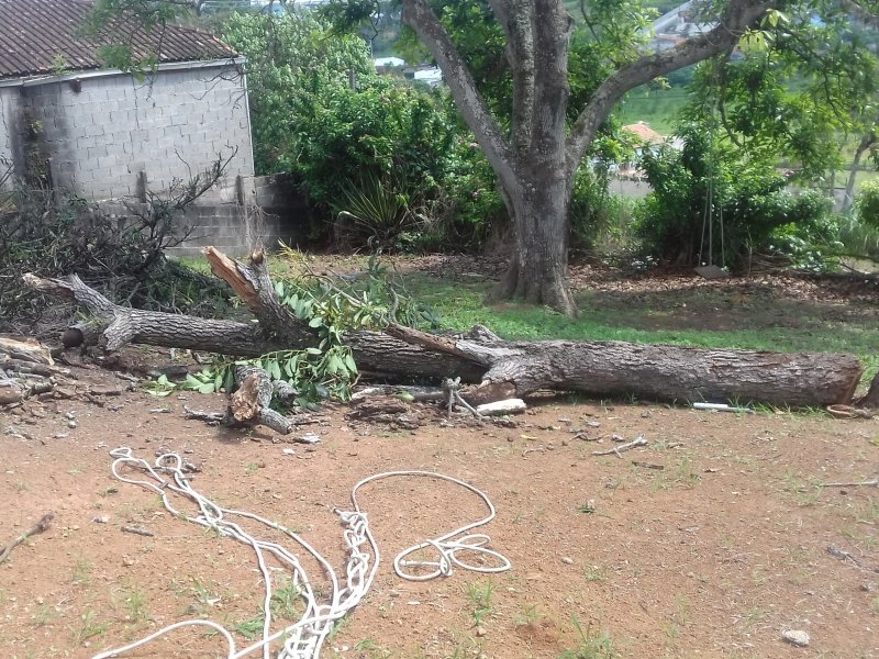 Terreno à venda Recreio Bela Vista com 1200m² e  quartos por R$ 160.000 - 1446375178-20181103-095457.jpg