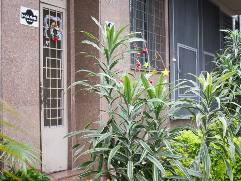 Apartamento à venda Glória com 133m² e 3 quartos por R$ 550.000 - 1763084656-entrada.jpg