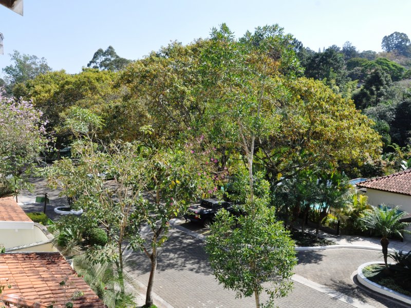 Casa de condomínio à venda Granja Viana com 326m² e 4 quartos por R$ 1.450.000 - 371679077-dsc-0039.JPG