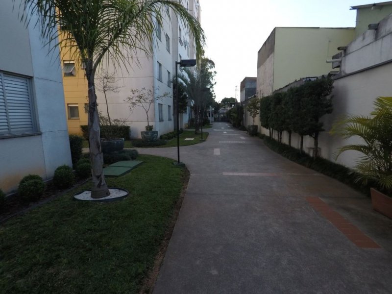 Apartamento à venda Jardim Sabará com 50m² e 2 quartos por R$ 270.000 - 50465427-gopr1922.JPG