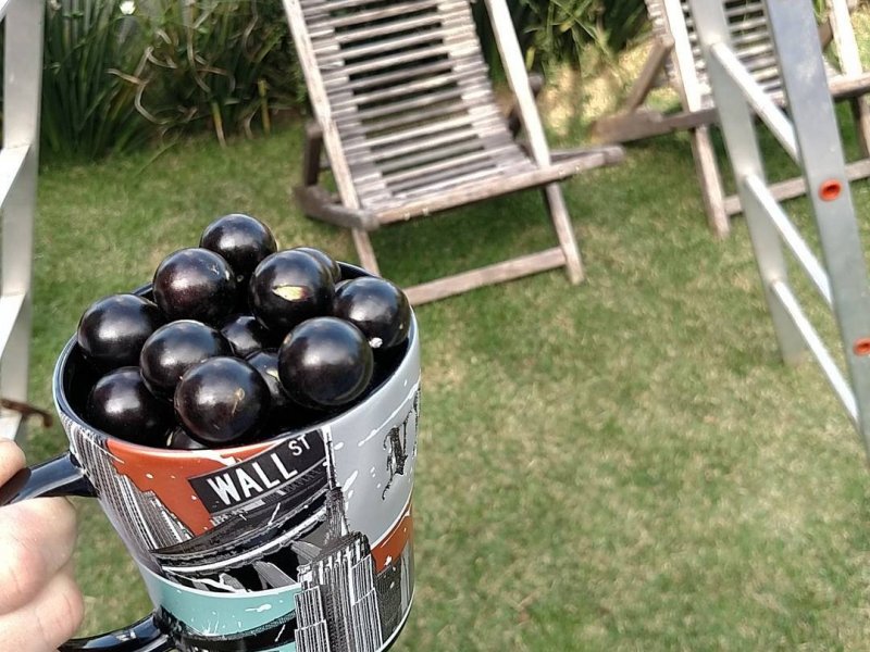 Casa à venda Vila Inah com 290m² e 4 quartos por R$ 2.000.000 - 1556039139-11890018-10204801212498051-6341859051097488813-o.jpg