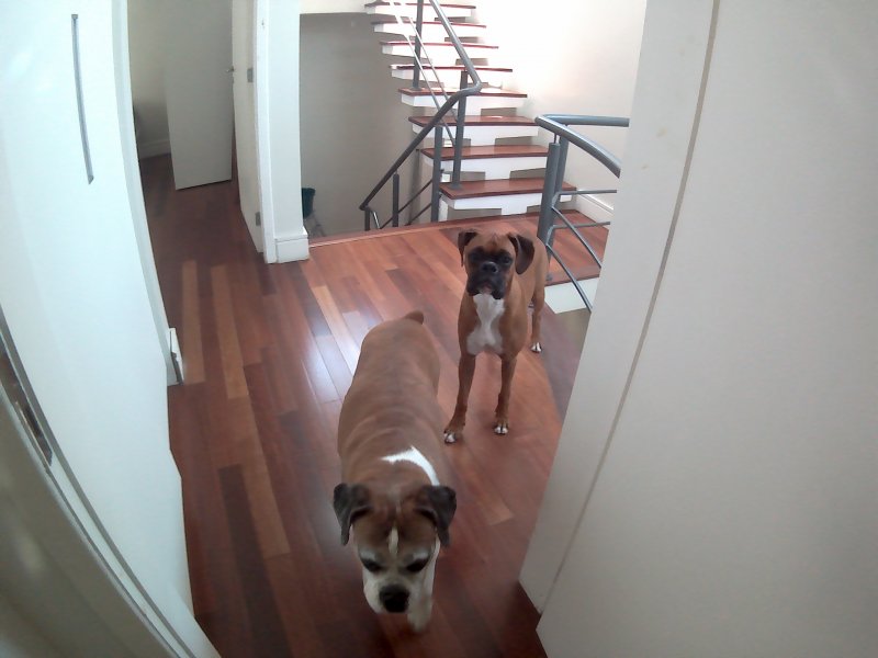 Casa à venda Vila Inah com 290m² e 4 quartos por R$ 2.000.000 - 1941237371-20171103-123649a.jpg