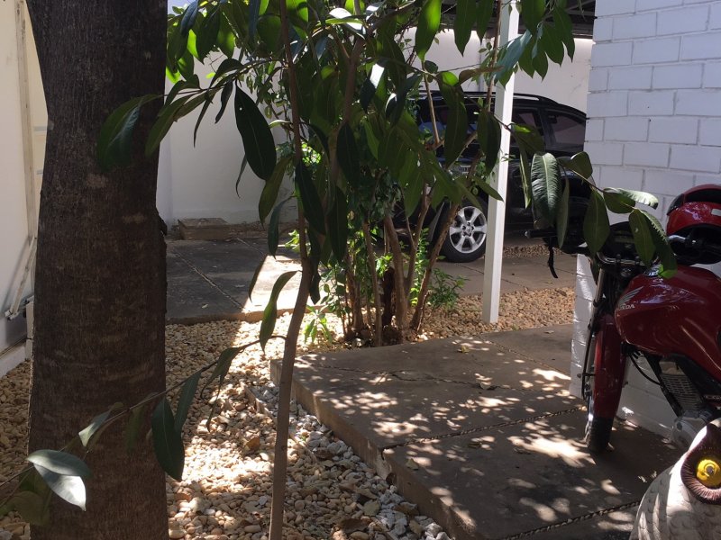 Comercial à venda Fatima com 996m² e  quartos por R$ 3.900.000 - 1815311297-img-8891.JPG