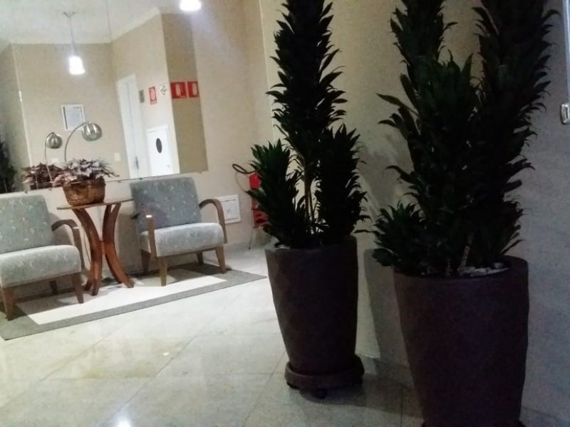 Apartamento à venda Parque Terra Nova com 65m² e 3 quartos por R$ 300.000 - 1324182463-18-hall-predio.jpg