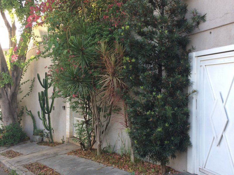 Casa à venda Água Fria com 250m² e 3 quartos por R$ 975.000 - 1003770857-fachada-10.jpg