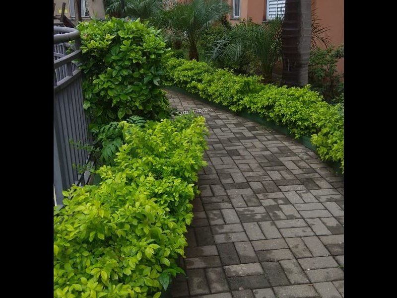 Apartamento à venda Parque Novo Mundo com 56m² e 3 quartos por R$ 300.000 - 784350498-whatsapp-image-2019-01-04-at-17.jpeg