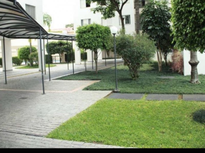 imóvel com 56m² - Jardim Vila Formosa - São Paulo