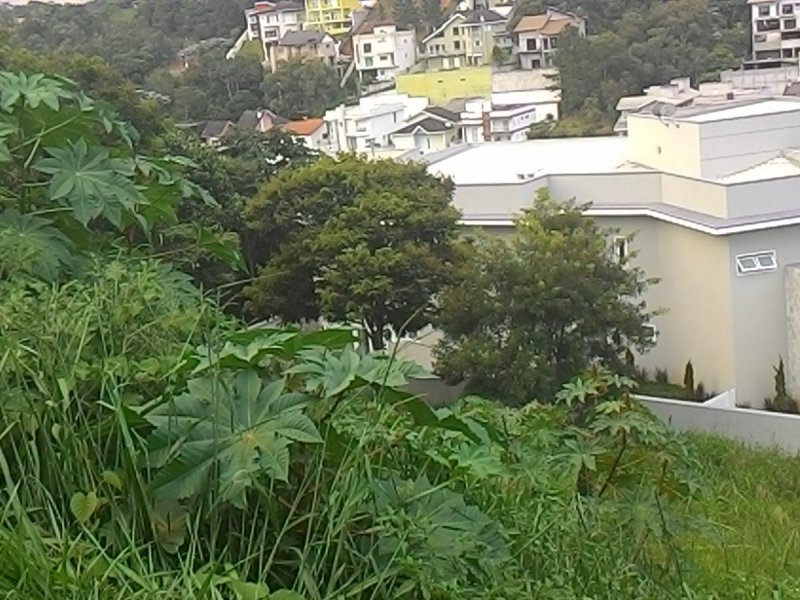 Terreno à venda Jardim Imperial Hills III com 513m² e  quartos por R$ 225.000 - 1552358324-fotos-do-lote-4.jpg