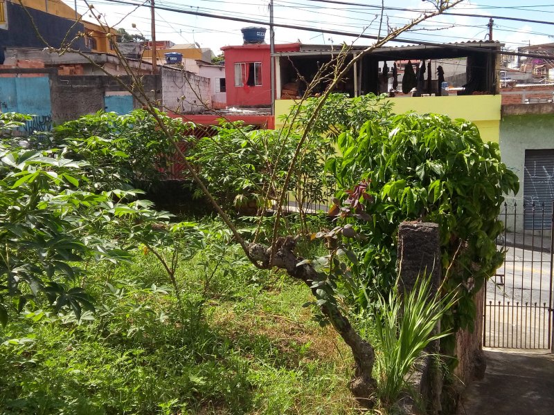 Terreno à venda Itaquera com 660m² e  quartos por R$ 900.000 - 510341903-20190107-160213.jpg