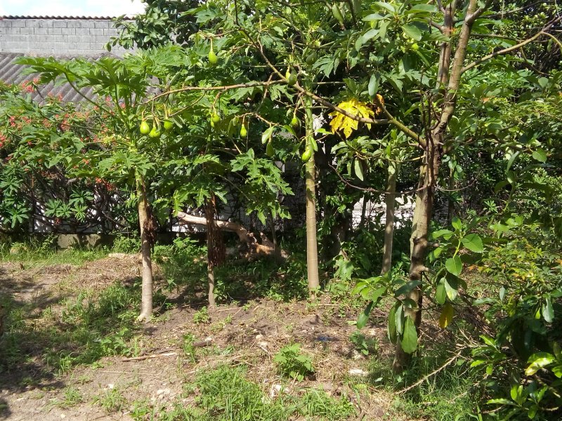 Terreno à venda Itaquera com 660m² e  quartos por R$ 900.000 - 534171478-20190107-160421.jpg