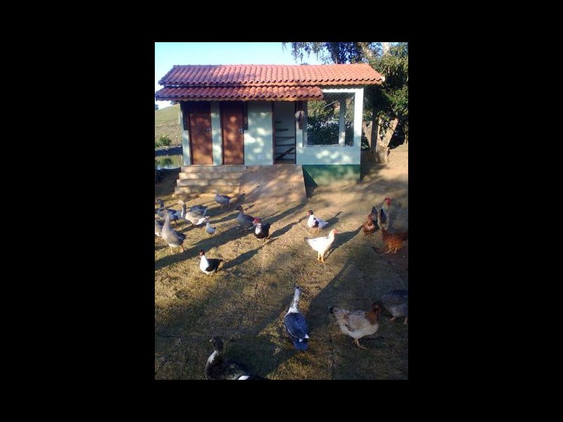 Terreno à venda São Joaquim da Grama com 900m² e  quartos por R$ 100.000 - 207066220-grama17.jpg