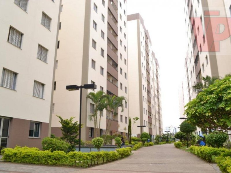 Apartamento à venda Vila Bela com 595m² e 3 quartos por R$ 297.500 - 1360000544-irnnn11xv5en.jpg