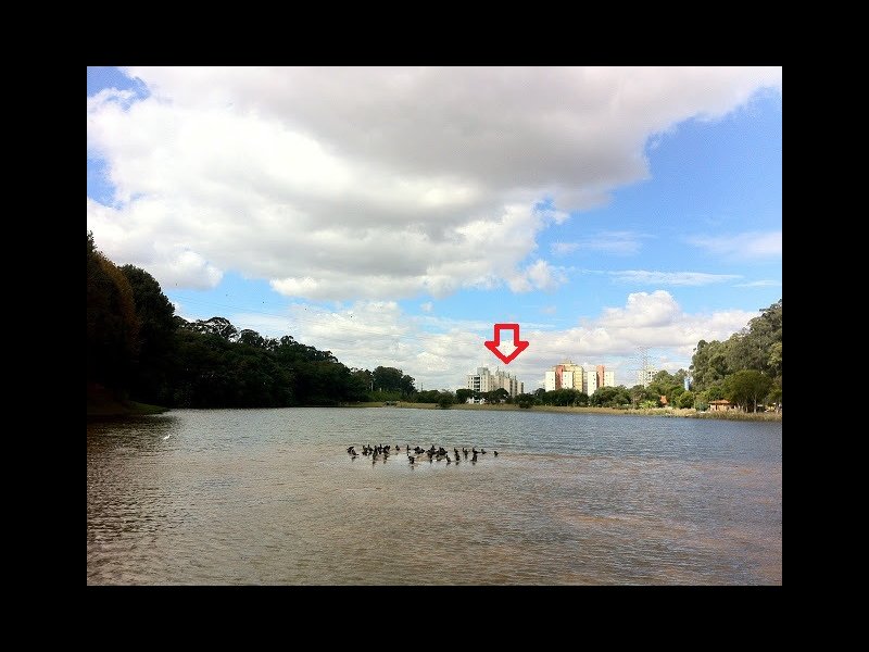 Apartamento à venda City América com 63m² e 2 quartos por R$ 425.000 - 1303060203-parque-toronto.jpg