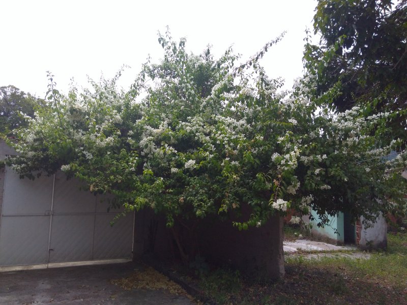 Apartamento à venda Guaratiba com 115m² e 2 quartos por R$ 280.000 - 1136029601-img-20181221-151730100.jpg
