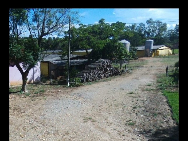 Terreno à venda Dos Lopes com 11000m² e  quartos por R$ 500.000 - 310044005-img-20190103-wa0011.jpg