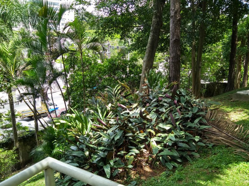 imóvel com 65m² - Vila São Paulo - São Paulo