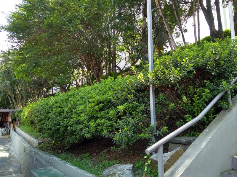 imóvel com 65m² - Vila São Paulo - São Paulo