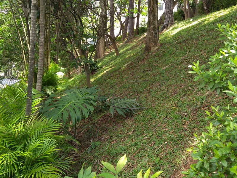 imóvel com 65m² - Vila São Paulo - São Paulo