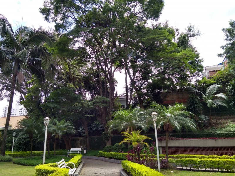 imóvel com 65m² - Vila São Paulo - São Paulo