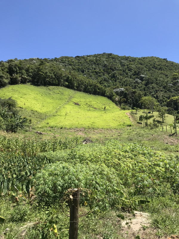 Terreno à venda Cavaleiros com 7000m² e 1 quarto por R$ 150.000 - 338571589-img-4204.jpeg