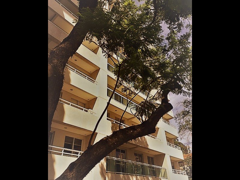 Comercial para alugar Vila Ester com 47m² e  quartos por R$ 2.300 - 390357872-2cacddb9-5b7b-4c7b-827f-54a66a78f33a.jpeg