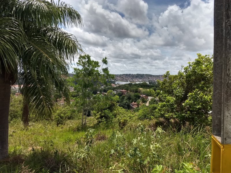 Terreno à venda São Pedro com 925m² e 1 quarto por R$ 690.000 - 1125537505-img-20190116-113042353-hdr.jpg