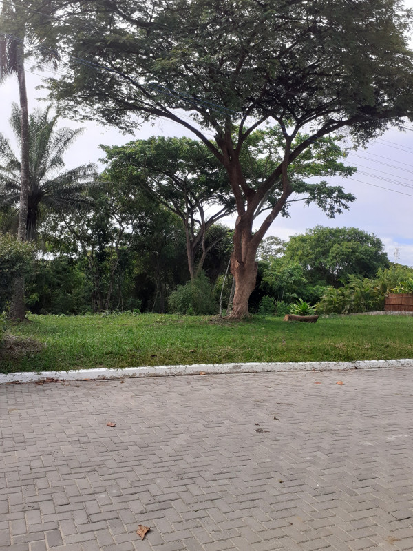Terreno à venda São Pedro com 925m² e 1 quarto por R$ 690.000 - 1170692263-20230115-141411.jpg
